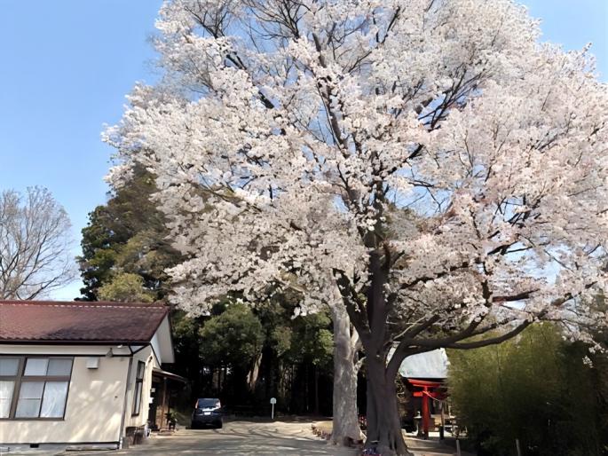 天満宮
