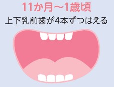 上下四本