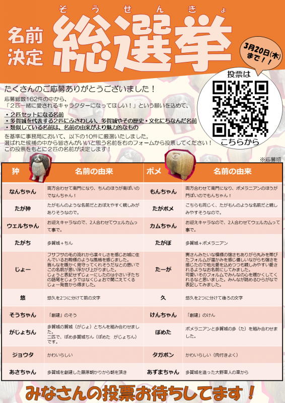 総選挙パネル（画像）